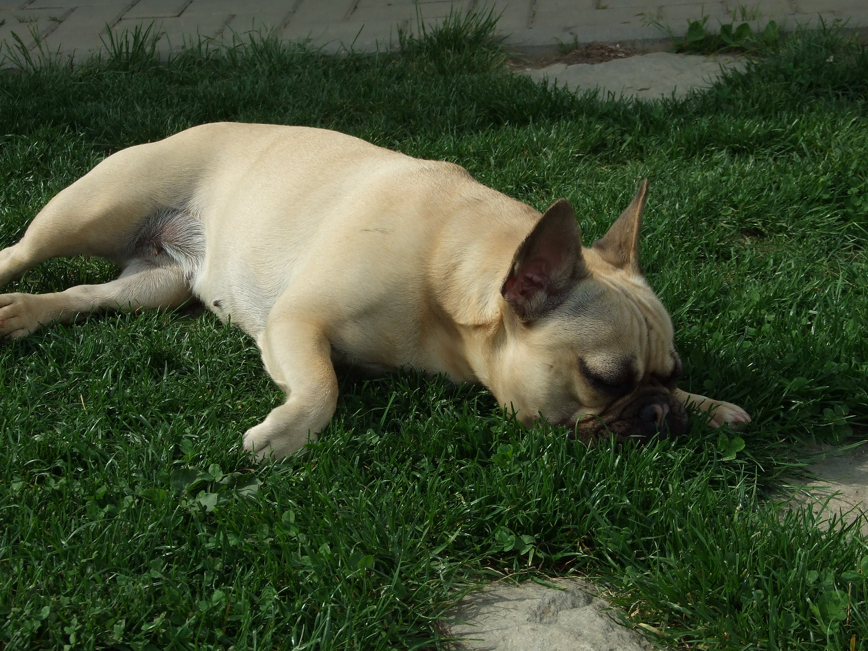 DSCF4192.JPG