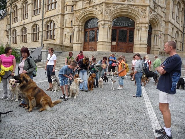 P1060528[1].JPG
