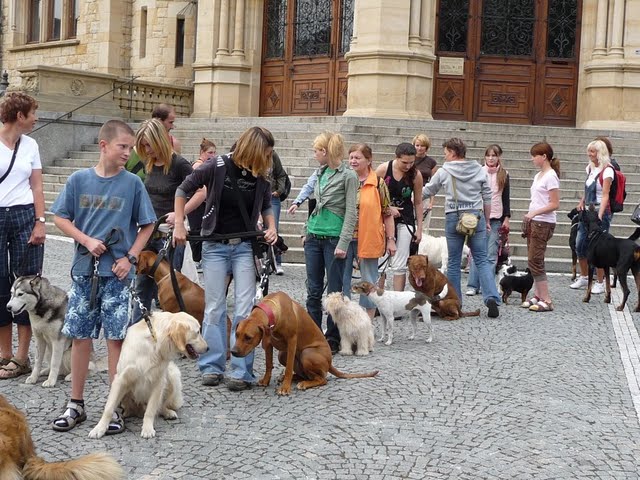 P1060532[1].JPG
