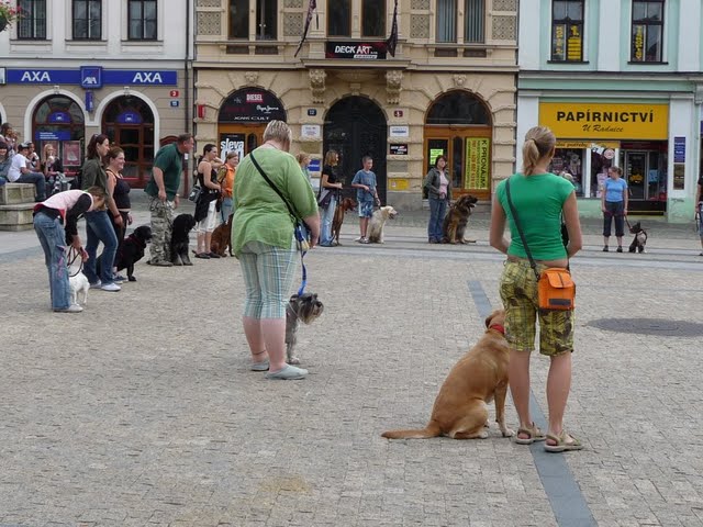 P1060571[1].JPG