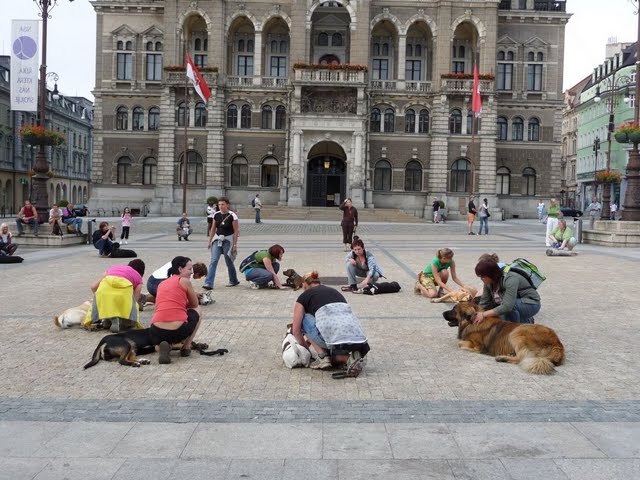 P1060626[1].JPG