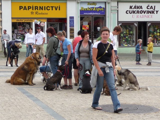 P1060670[1].JPG