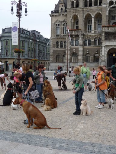 P1060678[1].JPG