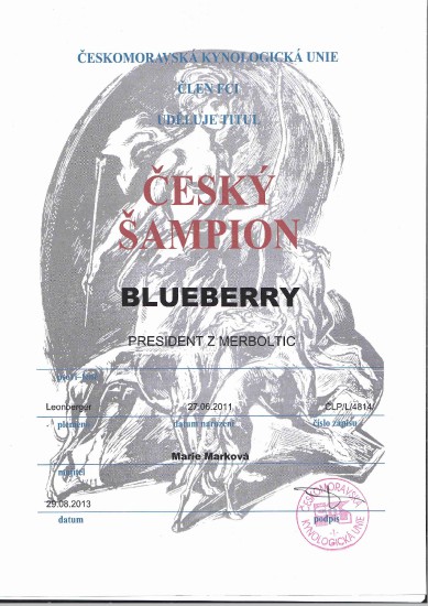 berry-cesky-champion.jpg
